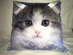 Cute Rachael Hale Cat Face Pillow 15 Kitten W/necklace Teen Girl 3D Ears Vgc. Fixed Price $20.00.