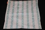 Thomaspaul Seedling Euro Sham 26X26 Brown Aqua New W/o Pkg #153. Fixed Price $14.99.