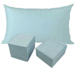 Disposable Pillow Covers(pack Of 100),BULK Cases For Medical Hospita. Fixed Price $30.50.