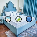 A+ Bed Bug Proof Encasement Protect Soft Luxury Zipper All Mattresses Or Pillow. Fixed Price $46.35.