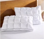 Home Reflections Set Of 2 Comfort Cushion Pillows Hypoallergenic Standard Queen. Fixed Price $69.99.