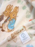 Peter Rabbit Throw Blanket 50X70" Beatrix Potter Plush Soft Nwt Baby Shower Gift. Fixed Price $24.95.