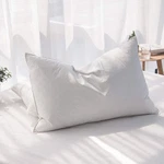20"X30" Queen Goose Down Feather Bed Pillow Soft 100% Cotton Cover Hotel Quality. Fixed Price $18.99.