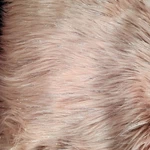 Nwt Cloverdale Collections Blush Pink Faux Fur Accent Rug 30 45. Fixed Price $12.50.