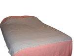 Vintage Chatham Wool(?) Twin Blanket-blue On 1 Side, Pink Other. Fixed Price $29.95.
