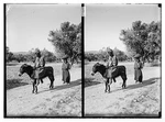 Arab Donkey,followed By Woman With Basket Her Head,middle East. Fixed Price $12.99.