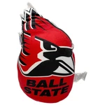 Ncaa Ball State Cardinals Plushie Mascot Pillow Sports Team Logo Novelty. Fixed Price $16.95.