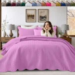 All Season Bedspread Quilt Bedding Set Soft Reversible Cooling Comforter. Fixed Price $21.59.