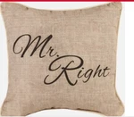 Manual Woodworkers Tan Men's Accent Mr Right Throw Pillow, 12X12, New. Fixed Price $19.95.