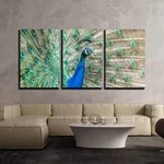 WALL26 - Peacock With Feathers Out Canvas Art Decor 16"X24"X3 Panels. Fixed Price $69.99.