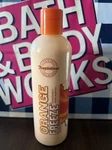 New! Bath & Body Works Temptations Orange Freeze Lotion 10 Oz. Fixed Price $26.50.