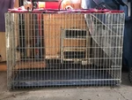 Pet Crate Metal Cage Secure Dog With Folding Tray Home Training Oxgord. Fixed Price $50.00.