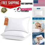 Extra Super Firm Serta Bed Sleeping Standard Queen Soft Set 2. Fixed Price $31.66.