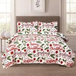 Howplum Christmas Cheer Winter Script Lightweight Holiday Quilt Full/queen Be.... Fixed Price $23.48.