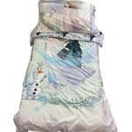 Disney Frozen 2 Toddler Bedding Set Comforter Sheets Pillowcase. Fixed Price $12.80.