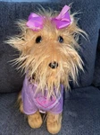 Nickelodeon Jojo Siwa Bowbow The Dog Plush 17" Pillow Buddy Pink Sparkle Jacket. Fixed Price $25.00.