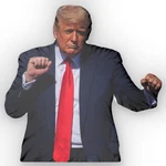Trump Dancing Shaped Pillow President Donald J 45 47. Fixed Price $44.99.
