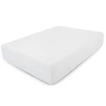 Mattress Encasement Waterproof Protector Zippered Deep Pocket Bed Bug. Fixed Price $18.99.