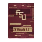 Florida State Seminoles Fsu Ncaa 60 X 80 Plush Throw Blanket Northwest Company. Fixed Price $59.99.
