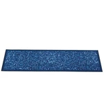 Collections Etc Siena Elegant Scrolling Leaf Design Accent Rug, Blue, 59" X 20". Fixed Price $17.99.