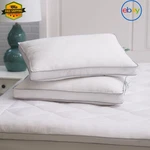 Allied Home Micronone Anti Pillow 2 Pack Hypoallergenic Comfort. Fixed Price $58.45.