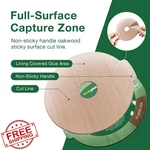 Ecovenger Bed Bug Traps Killer 24 Ct Super Glue Monitor Interceptor. Fixed Price $20.00.