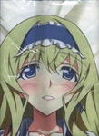 Body Pillow Cover Cecilia Alcott Infinite Stratos Is Unopened. Fixed Price $366.43.