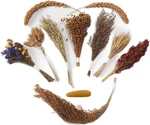 Natural Hamster Bedding Flowers Herbs Sprays Treat For Cage Habitat Enclosure De. Fixed Price $31.84.