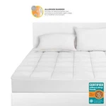 Great Sleep Breathewell Certified Asthma & Allergy Friendly Full Mattress Pad. Fixed Price $35.20.