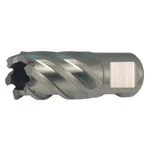 Annular Cutter, M2 Hss, 1/2 Dia, D, 4TGZ1. Fixed Price $25.49.
