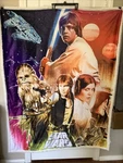 Star Wars Throw Northwest Company 48 X60 Fleece Blanket. Fixed Price $39.99.