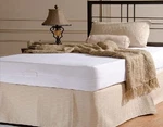 Waterproof Zippered Super Soft Mattress Cover Allergy Relief Bed Bug. Fixed Price $8.79.