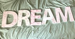 Simply Shabby Chic Dream Wall Cor Floral Letters White Pink Nursery. Fixed Price $67.00.
