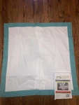 Fiesta Classic Turquoise Blue Set Of 2 Euro Shams. Fixed Price $24.99.