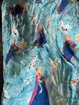 Disney Frozen Elsa And Anna Comforter Quilted Toddler Twin Bedding 74 X 86. Fixed Price $32.00.