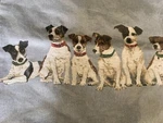 Nwt Iosis Yves Delorme Throw Pillow Cover Jack Russell Dogs 18" Woven Tapestry. Fixed Price $160.00.