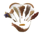 Natural Hamster Bedding Flowers Herbs Sprays Treat For Cage Habitat Enclosure.... Fixed Price $19.06.