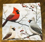 Pillow Cover Shell Case Cardinal Christmas Winter Red Bird No Insert. Fixed Price $6.00.