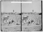 Cemetery Of Meidan,damascus,damascus,esh-sham,syria,middle East,american Colony. Fixed Price $9.99.