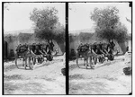 Camels In Khan Old Damascus,esh-sham,syria,middle East,american Colony. Fixed Price $12.99.