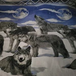 Wolf Blanket Bed Cover "pack Of Wolves" Graphic 92X72". Fixed Price $21.00.