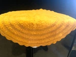 Design Imports Dii Crochet Round Bath Mat Rug 28" Honey Gold Scalloped Edge. Fixed Price $19.95.