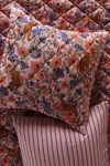 Anthropologie Maeve Organic Sateen Adalaide Euro Shams. Set Of 2.. Fixed Price $136.00.
