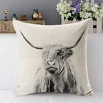 Cow Decorative Throw Pillow Cover Case Portrait Of Highland Cattle Ox Horn. Fixed Price $9.99.