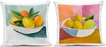 Fresh Fruits Bowl Outdoor Throw Pillows - Set Of 2, 18X18, Orange. Fixed Price $108.99.