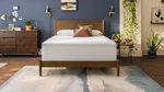 Tempur-cloud Topper 2" Profile No Import Fees. Fixed Price $109.99.