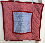Pottery Barn Kids Dr. Seuss Quilted Euro Pillow Shams Red Gingham Set Of 2. Fixed Price $45.00.