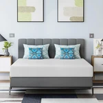 6 Inch Bamboo Charcoal Queen Cooling Gel Memory Foam Mattress/breathable Bed. Fixed Price $238.99.