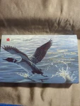 Canada 1997 Specimen Set With Rare Flying Loon Dollar (original Case). Fixed Price $69.07.