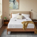 Beautyrest 3M Scotchgard Heated Mattress Pad - Electric Bed Warmer 5 Settings. Fixed Price $34.95.